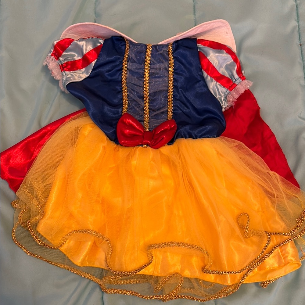 Disney Princess Costume with Yellow and Blue